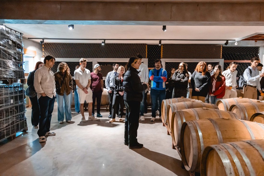 Winery visit and wine tasting at the Tsimbidi Estate (photo 2 of 14)