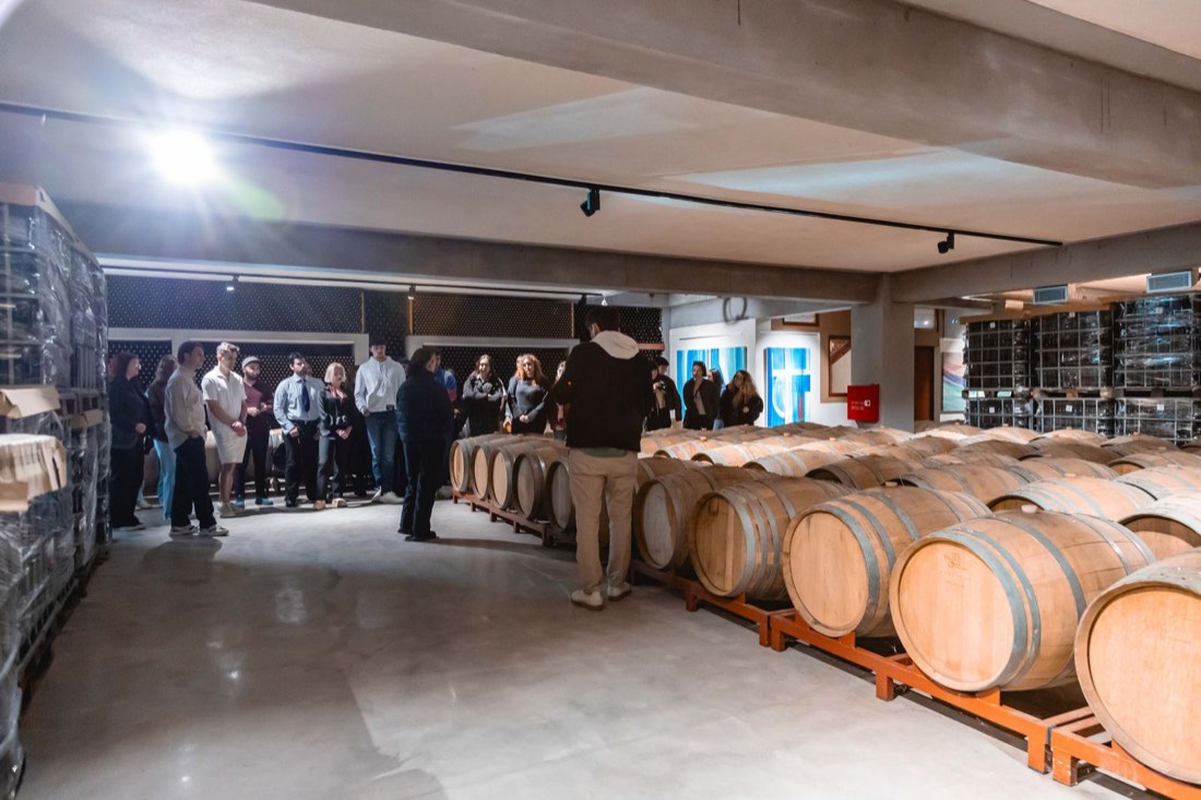 Winery visit and wine tasting at the Tsimbidi Estate (photo 3 of 14)
