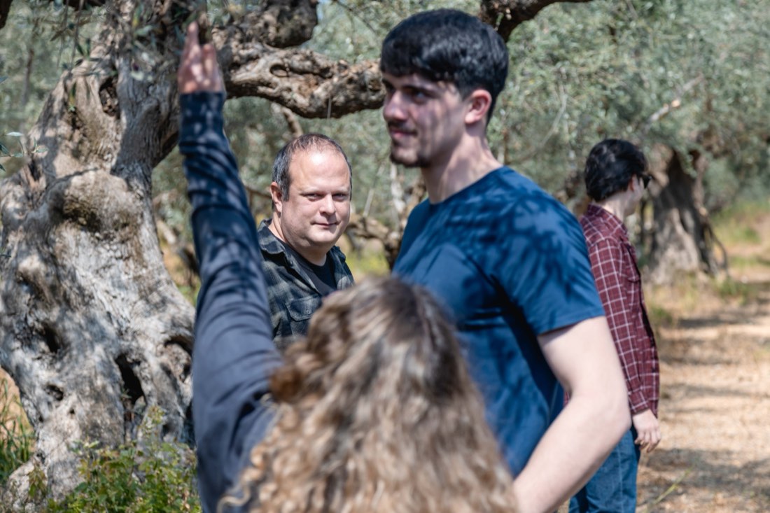 Olive oil production and tasting near Sparta (photo 1 of 11)
