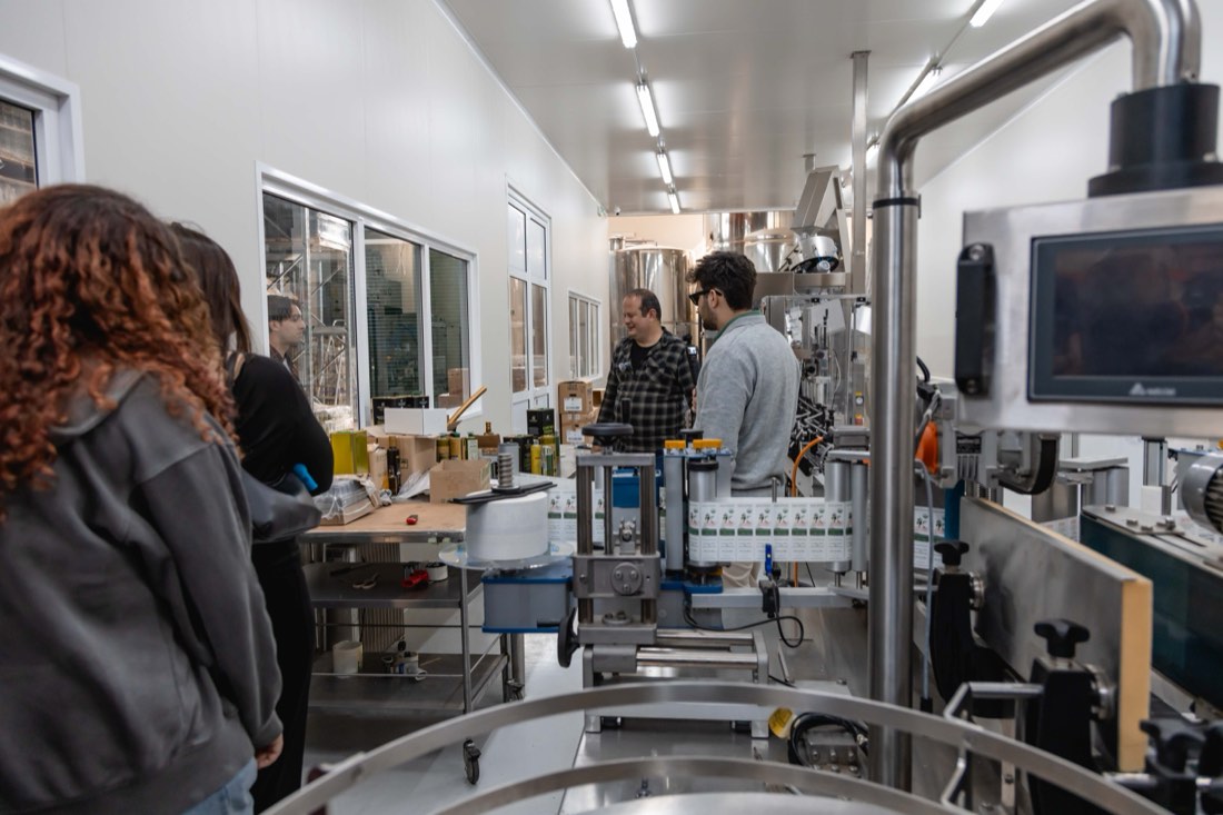 Olive oil production and tasting near Sparta (photo 5 of 11)