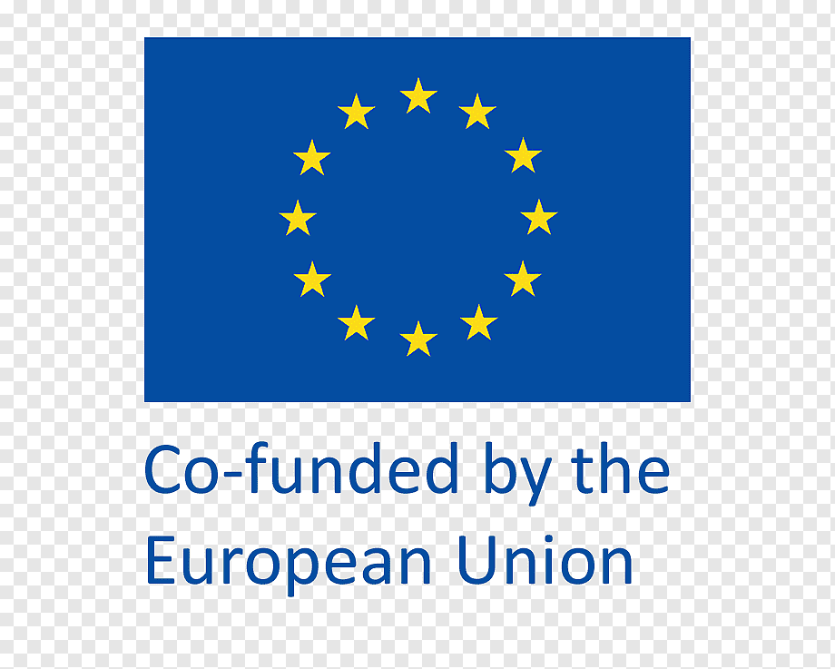 Co-funded by the European Union